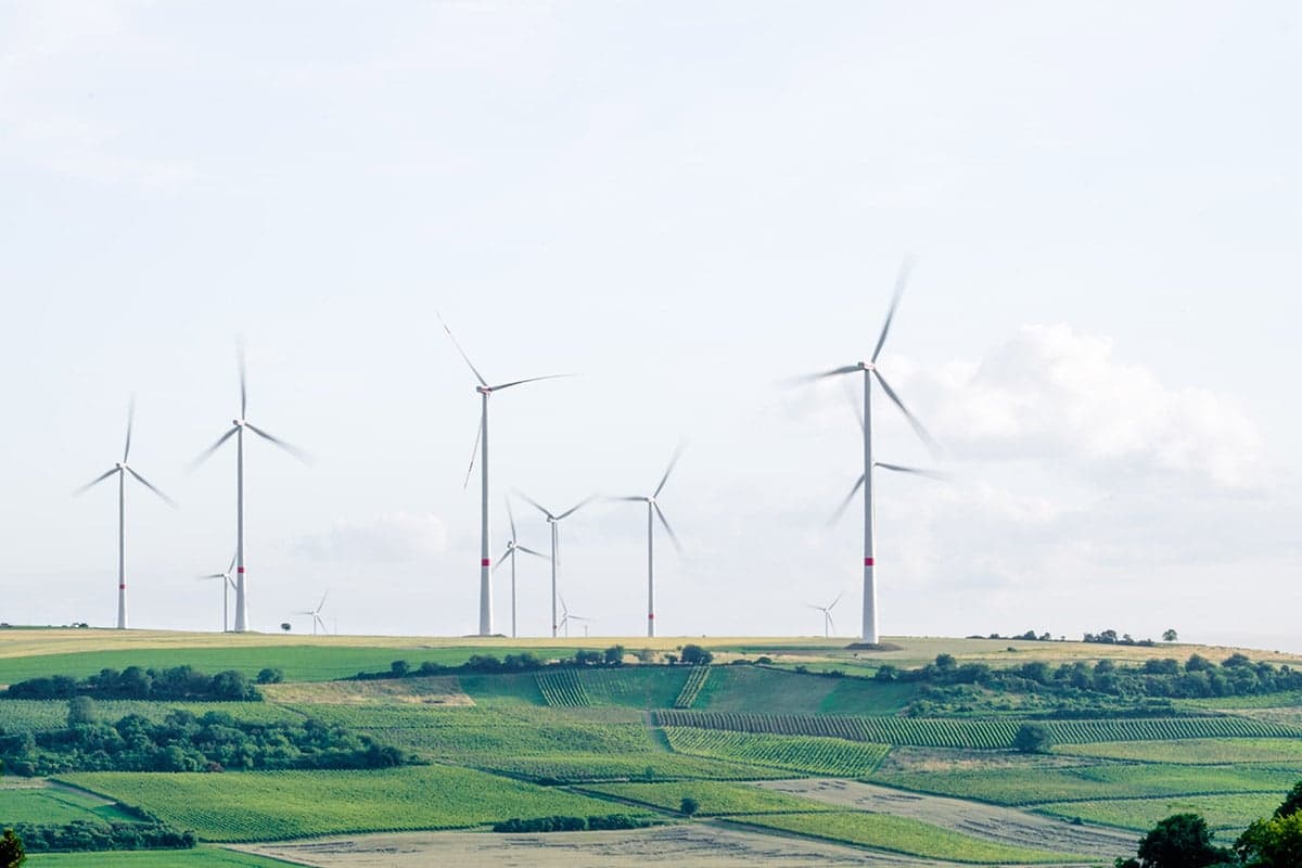 Wind turbines in a field